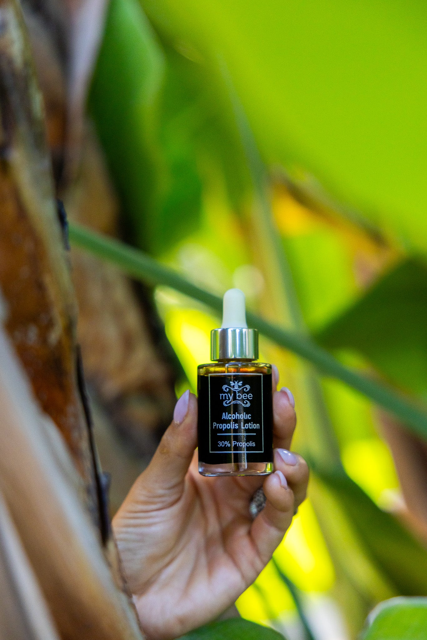 Propolis Alcoholic Lotion (Tincture) – 30ml